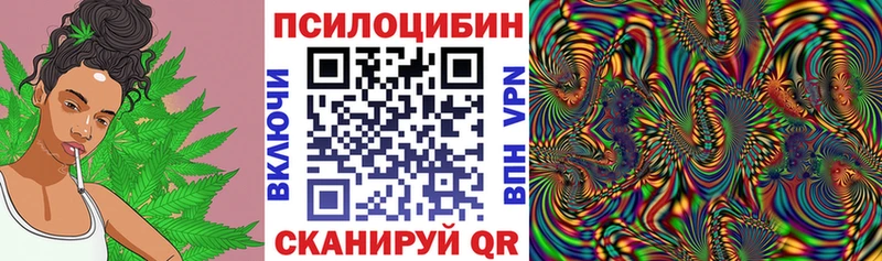 Псилоцибиновые грибы Psilocybine cubensis  Апрелевка 