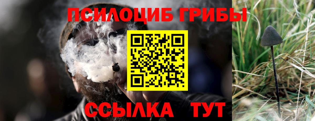 Псилоцибиновые грибы MAGIC MUSHROOMS  Апрелевка 